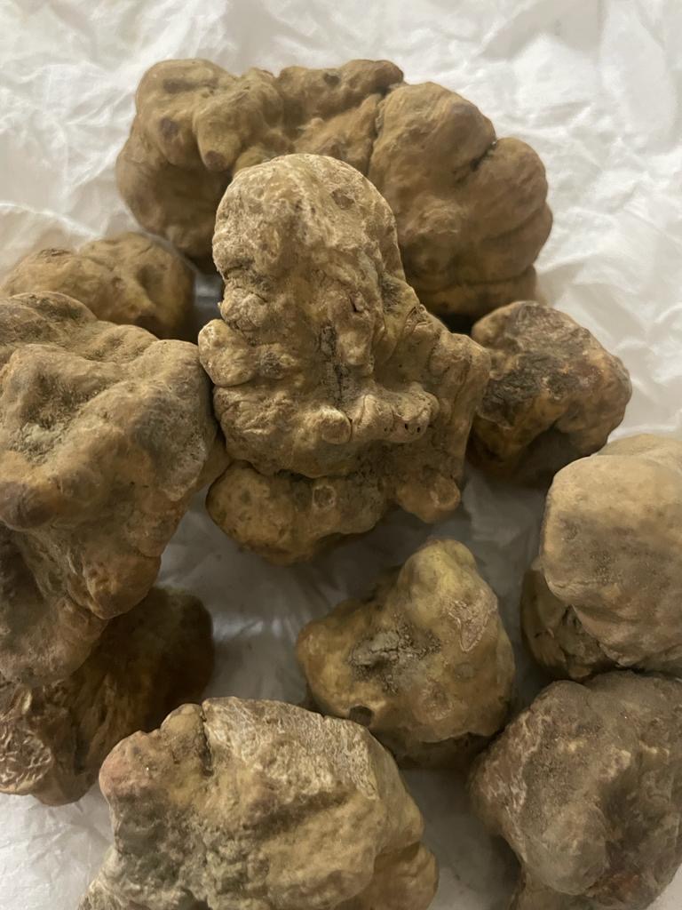 White Winter Truffles 500Gm