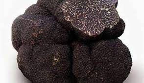 TUBER MEALANOSPORUM 1KG